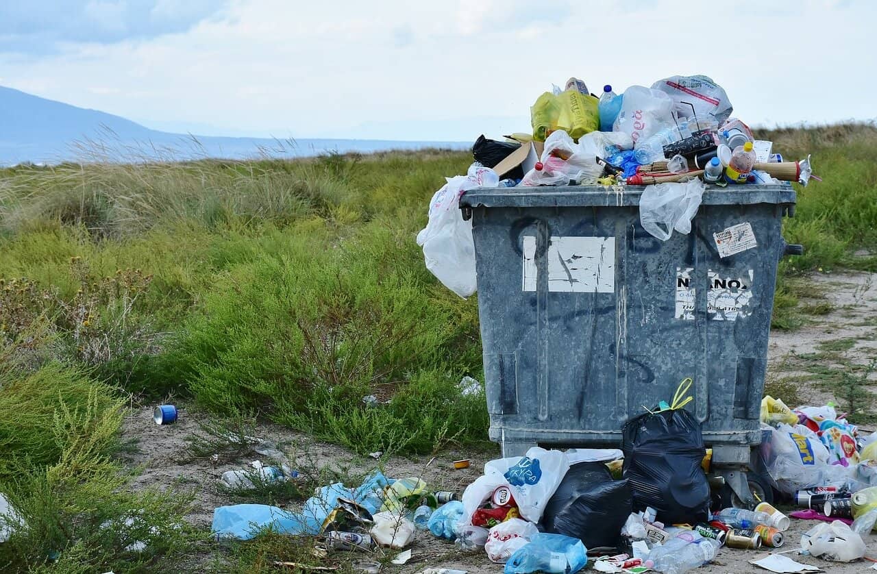 Trash bins in toilets