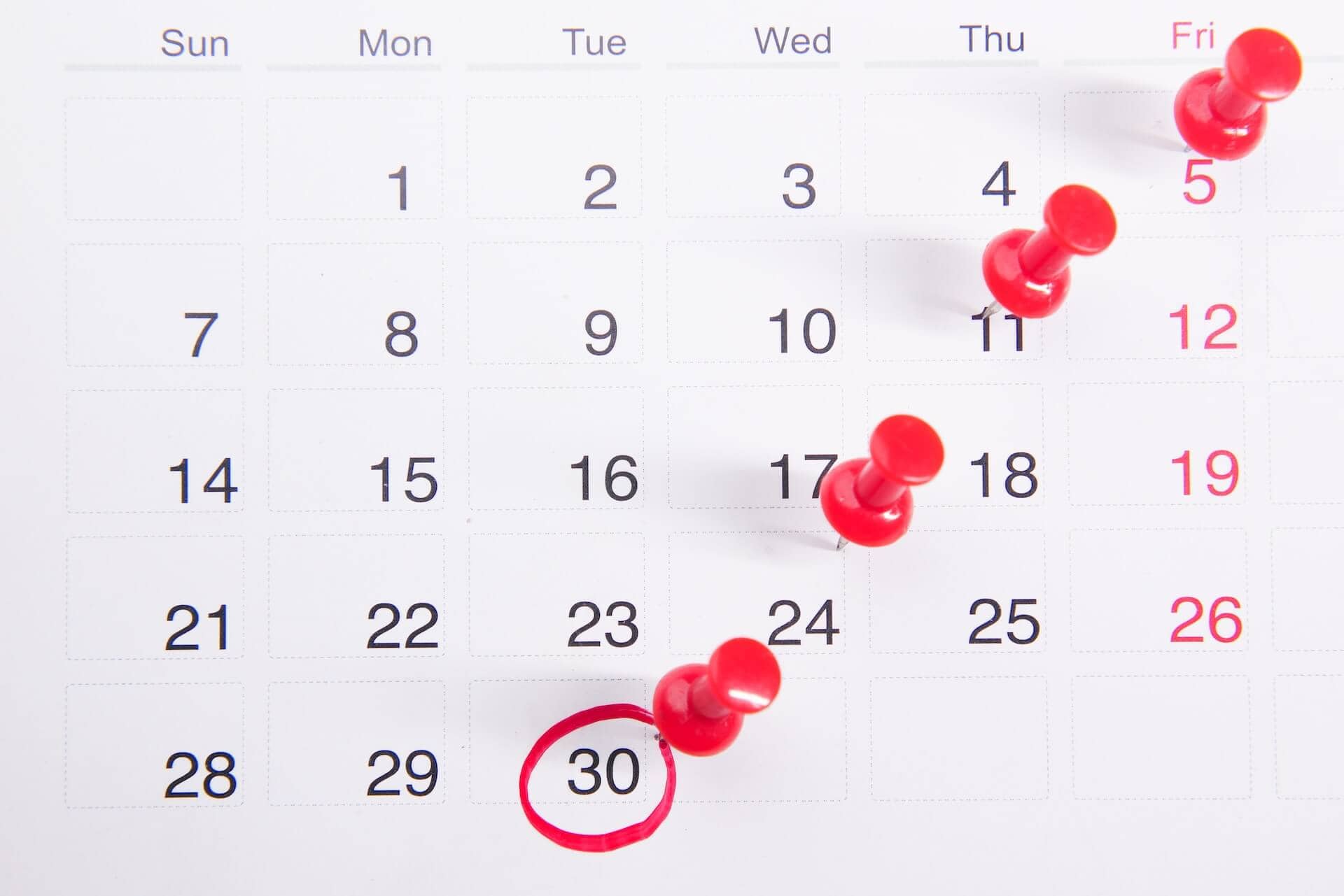 Programma operativo annuale