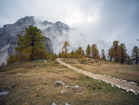 Un paesaggio montano sereno con un sentiero che conduce al rifugio Erjavčeva circondato da pini e cime nebbiose.