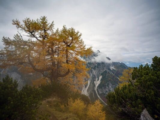 Erjavčeva koča - Slemenova špica - Sleme