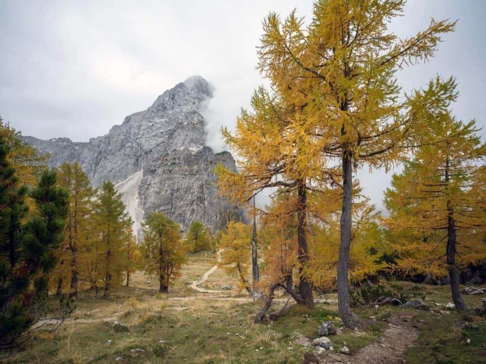 Erjavčeva koča - Slemenova špica - Sleme