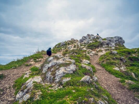 Terreno roccioso di montagna con sentieri escursionistici presso il rifugio Erjavčeva, in Slovenia, durante il tempo nuvoloso.