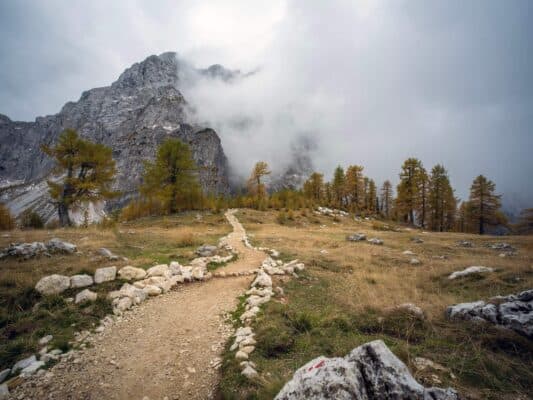 Roccia con segnavia davanti a una scena di foresta e montagna, sentiero escursionistico vicino al rifugio Erjavčeva, Slovenia.