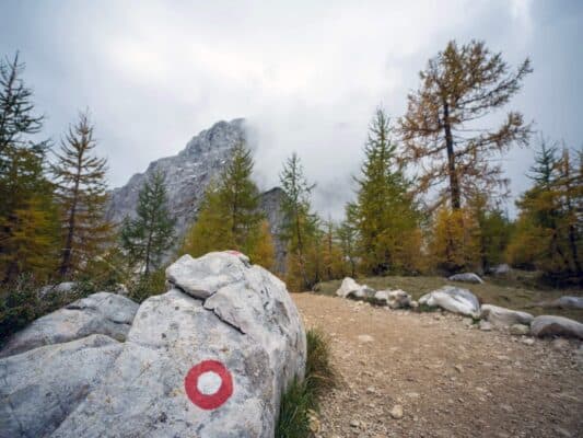 Roccia con segnavia davanti a una scena di foresta e montagna, sentiero escursionistico vicino al rifugio Erjavčeva, Slovenia.