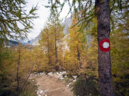 Sentiero panoramico di montagna che conduce al rifugio Erjavčeva con alberi autunnali e un'aspra vetta sullo sfondo.