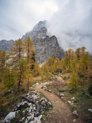 Sentiero panoramico di montagna che conduce al rifugio Erjavčeva con alberi autunnali e un'aspra vetta sullo sfondo.