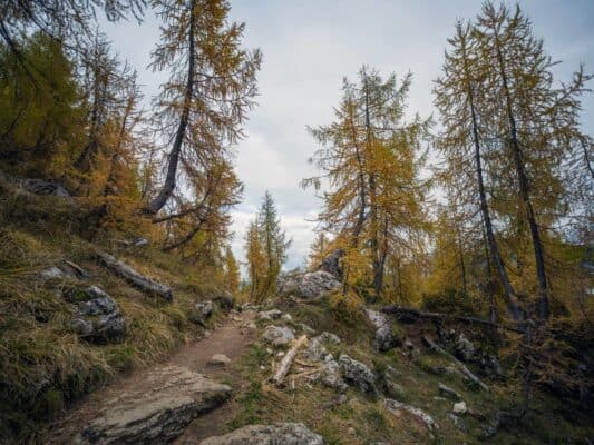 Erjavčeva koča - Slemenova špica - Sleme