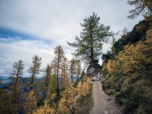 Un lussureggiante sentiero di montagna che conduce al rifugio Erjavčeva in un suggestivo paesaggio alpino.