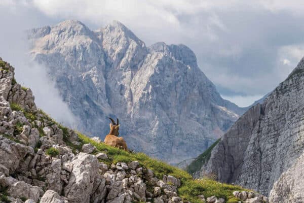 Tra le montagne del calendario 2026