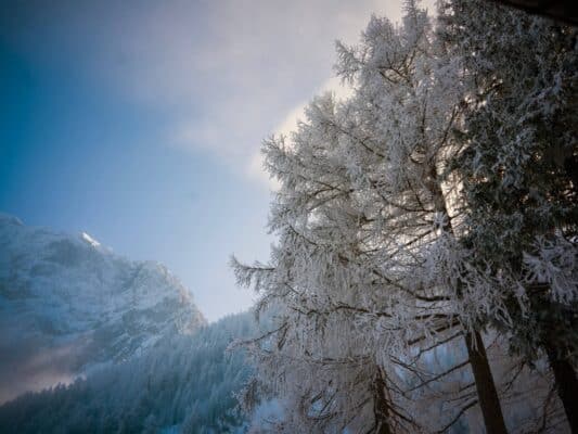 Perché visitare il Passo Vršič in Slovenia vicino a Kranjska Gora in inverno?