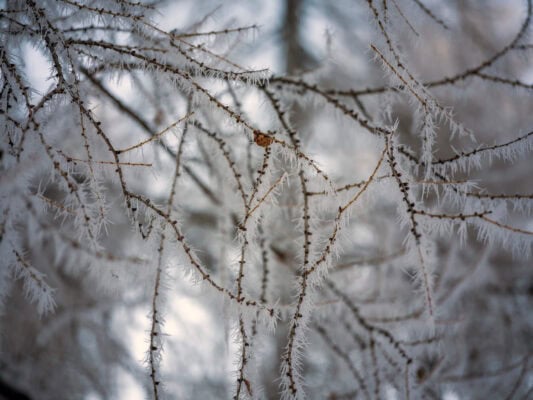 Perché visitare il Passo Vršič in Slovenia vicino a Kranjska Gora in inverno?